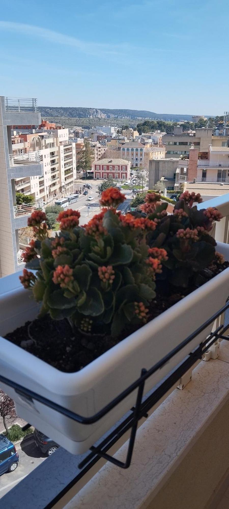 My Home マテーラ エクステリア 写真